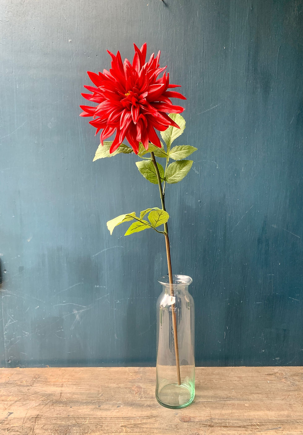 Thumbnail: Dahlia Stems
