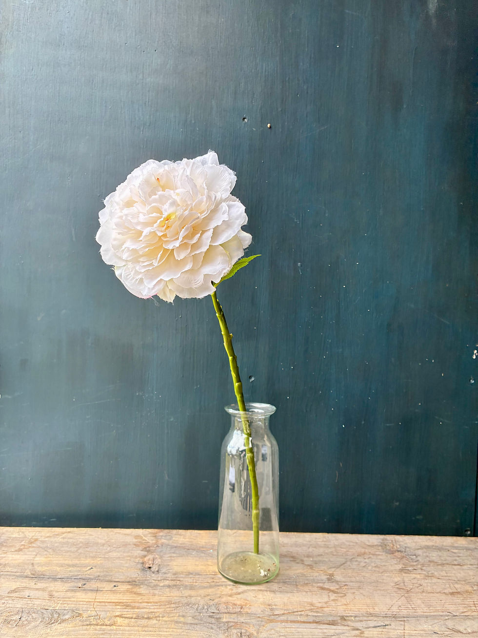 Thumbnail: 'Luxury ' Peonies