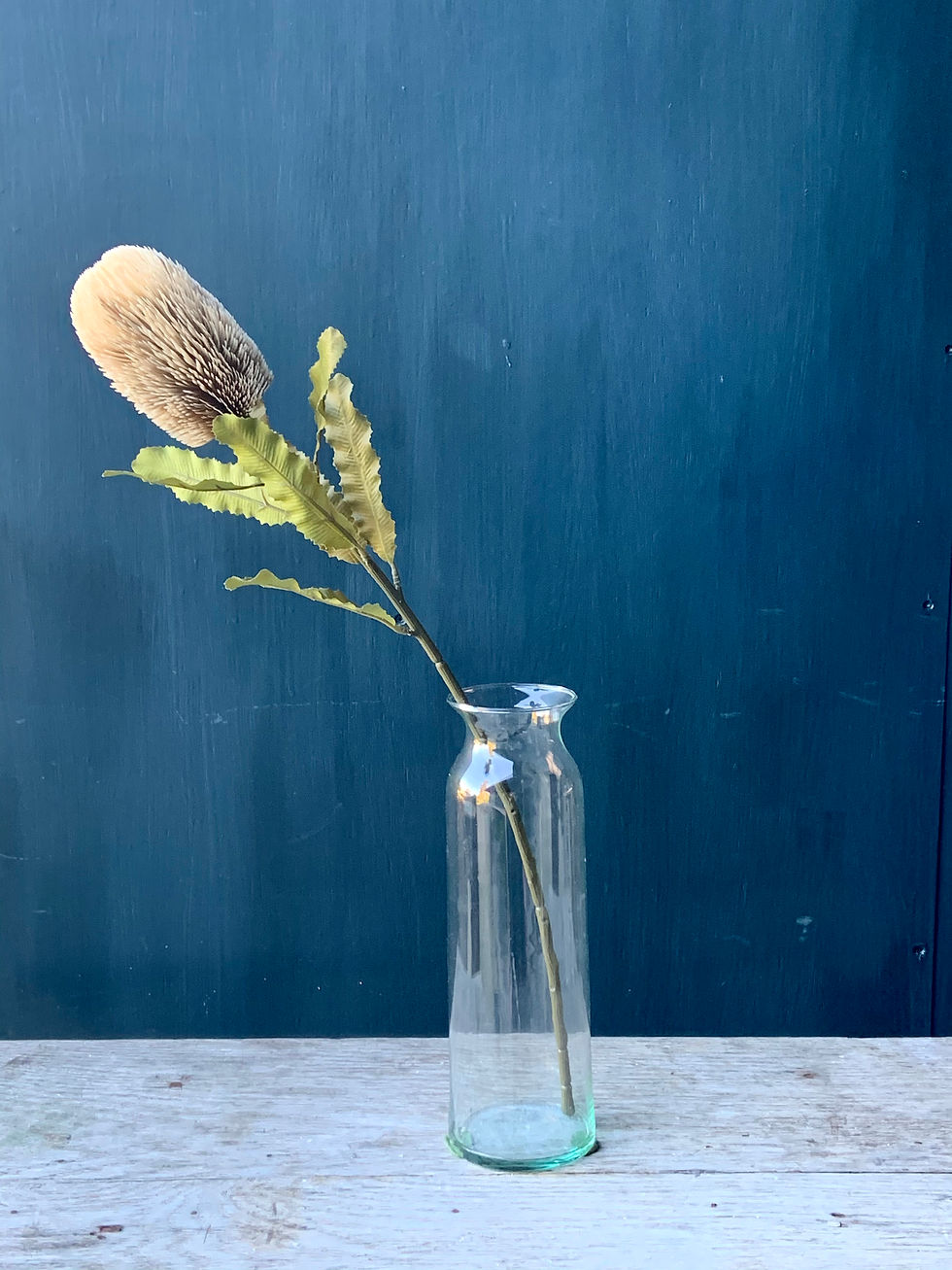 Thumbnail: Banksia