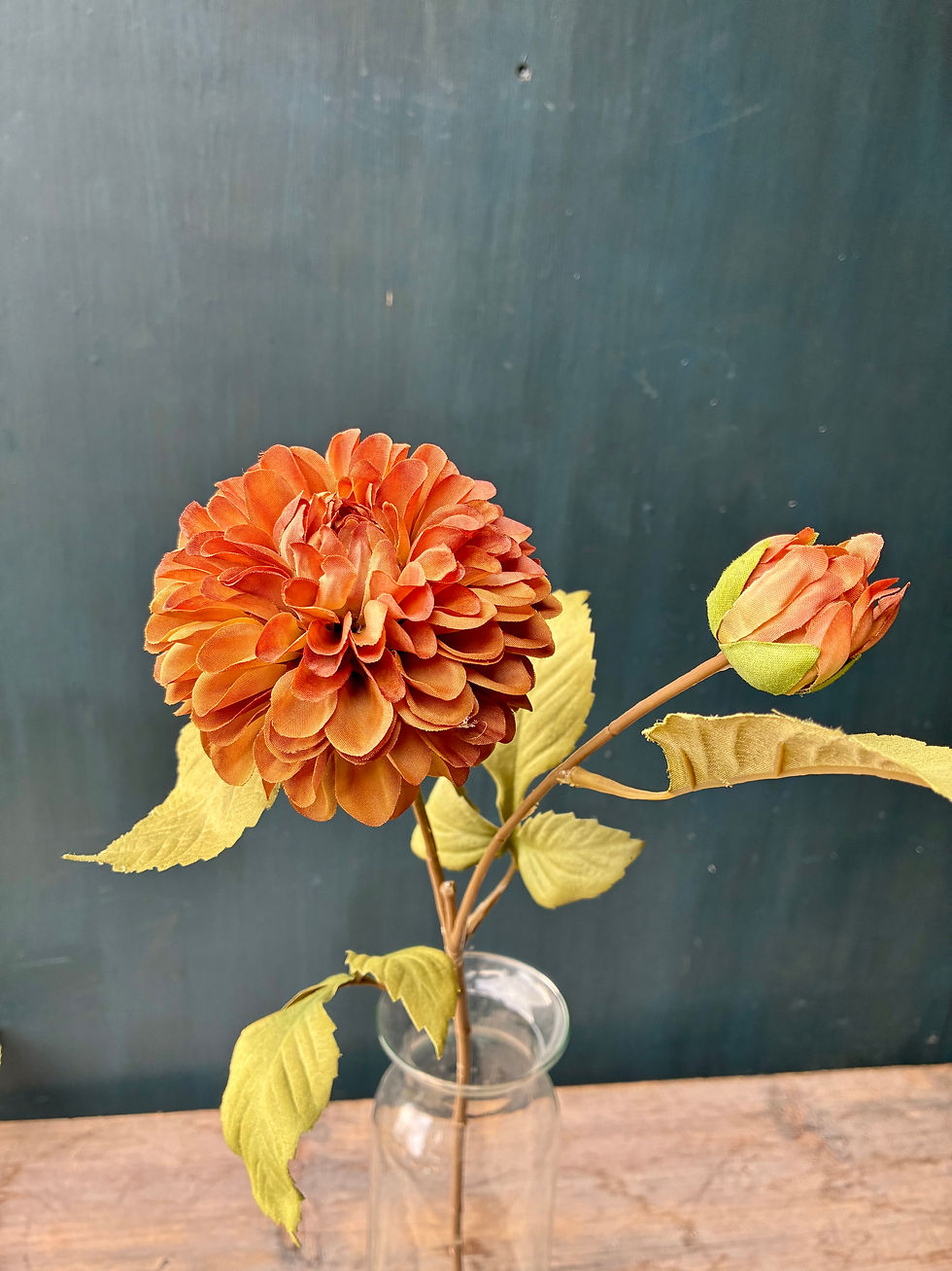Thumbnail: Dahlia Stems