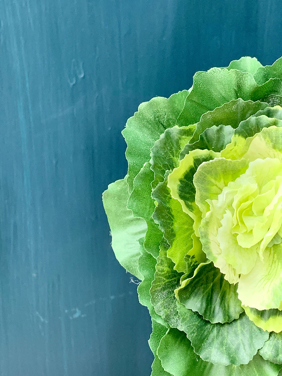 Thumbnail: Cabbage Stem