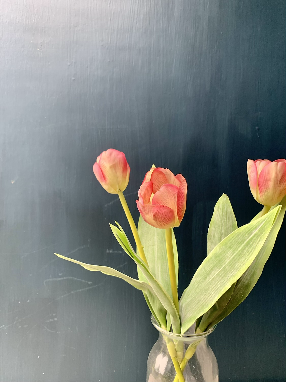 Thumbnail: Tulip