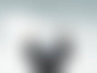 Hoeveel leiders weten dat dit over hen gezegd wordt?