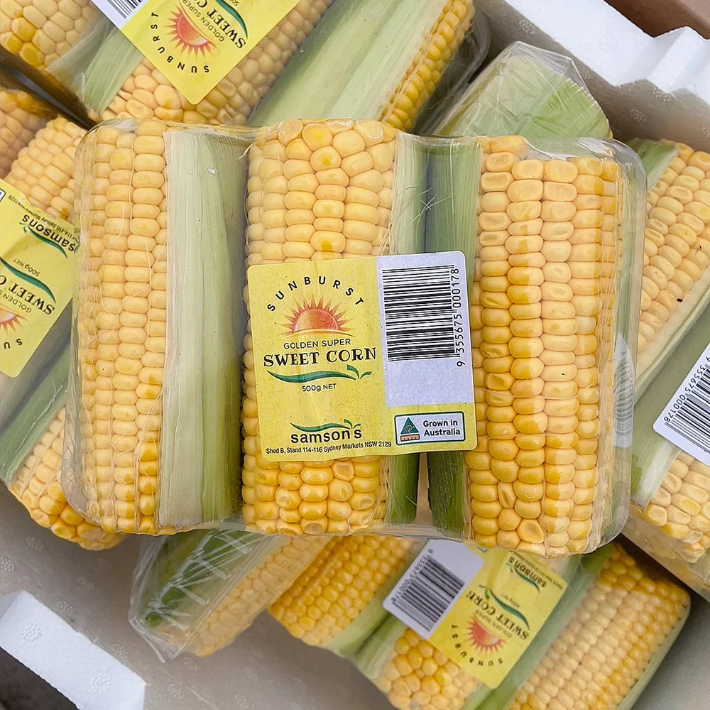 sweet corn