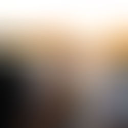 Quel est votre profil ? Plutôt Expert ou plutôt Explorateur ?