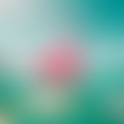 Des objectifs pour mes vacances, vraiment ?