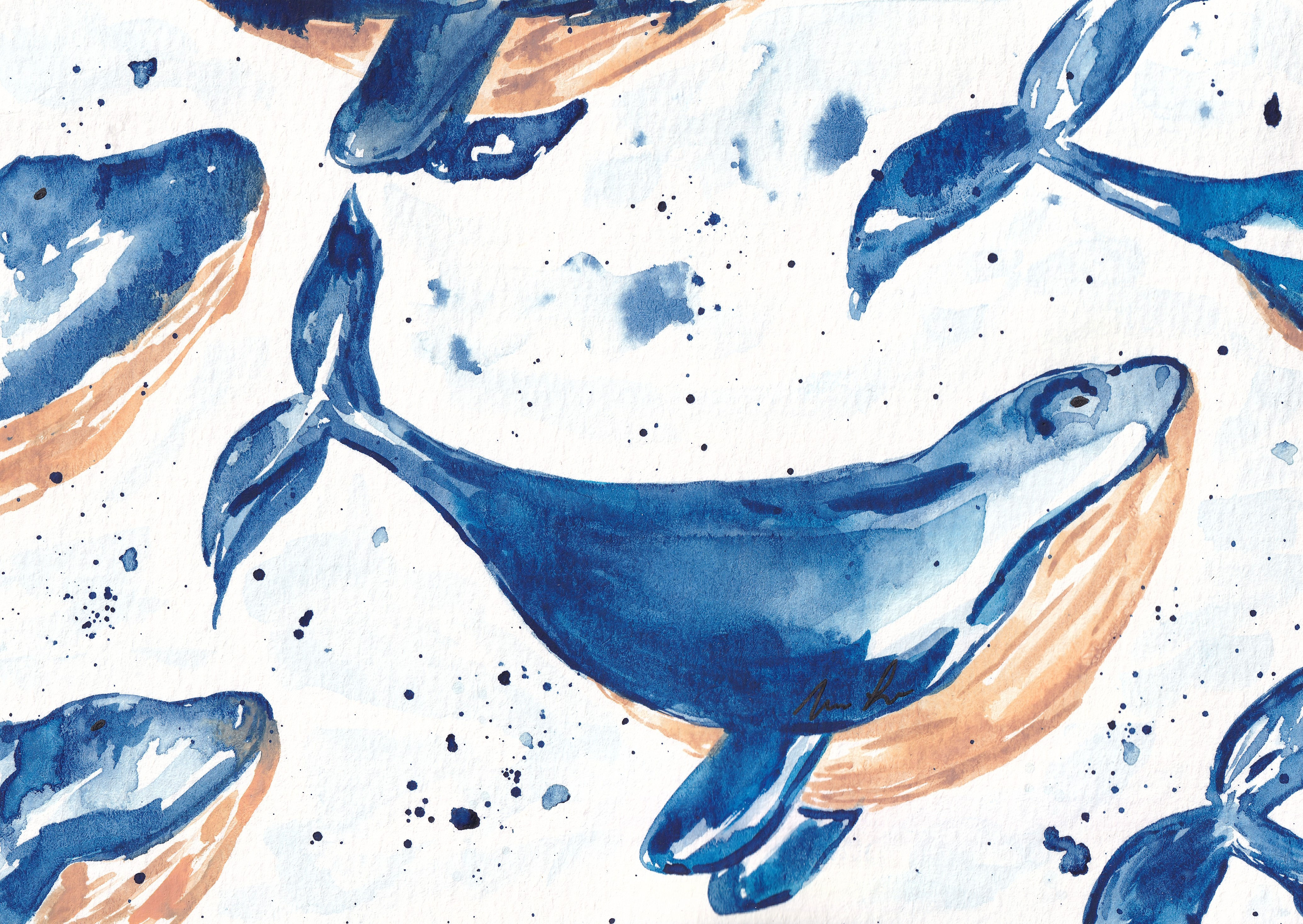 Blue Whales