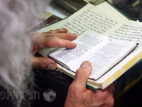 Tehillim Update #102 Round #7