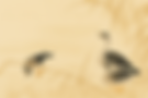 bg.png