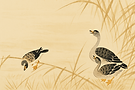 bg.png