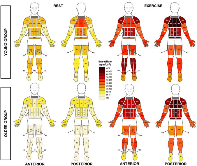 Body Mapping.jpg