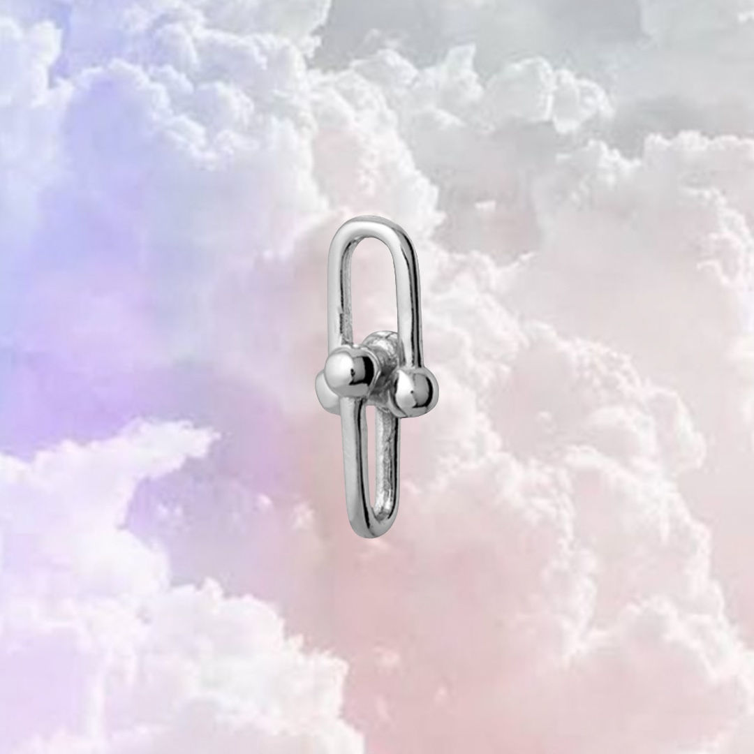 LITTLE LINKS                   earring/sleeper charm