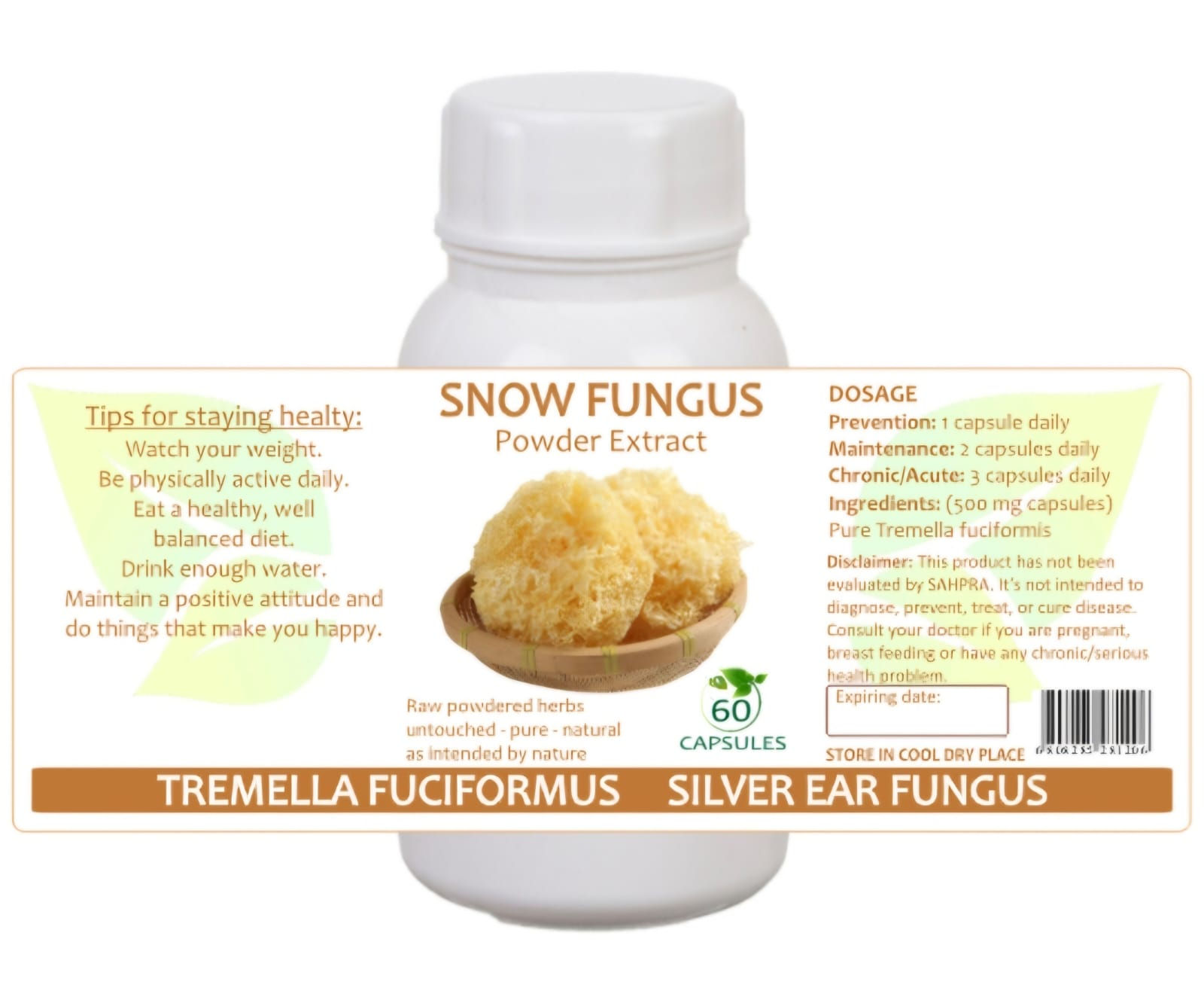 Snow Fungus Mushrooms