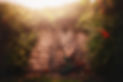 DSC_8326 copy.JPEG