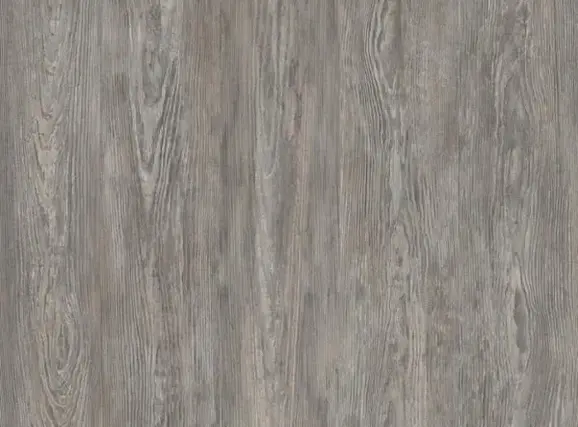 COR5019+Ancient+Oak-1920w.webp