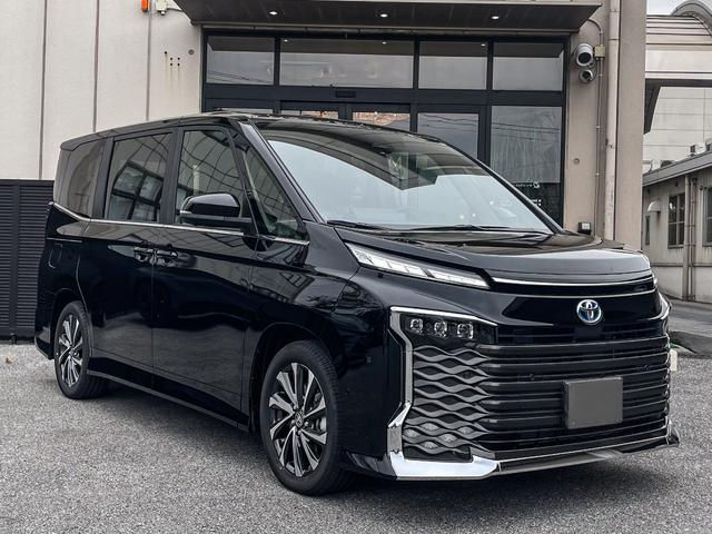 Moses Tours and Transport