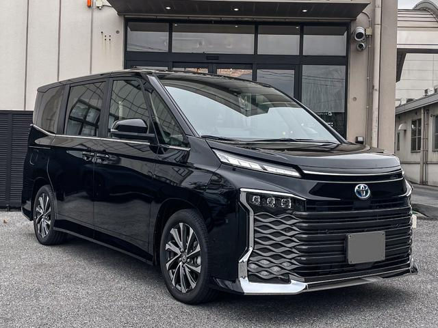 Moses Tours and Transport