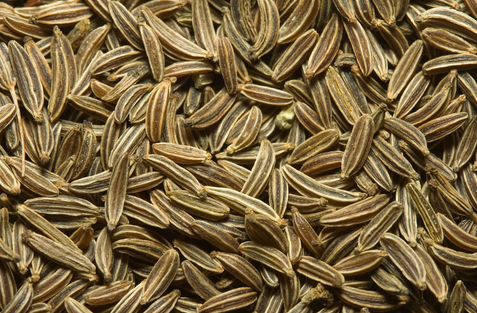 Cumin seeds