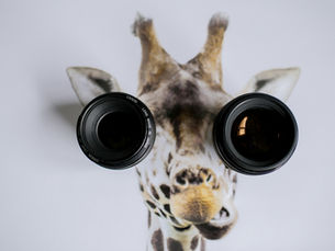 Novas lentes e novas narrativas para uma liderança (r)evolucionária [ 3 / 4 ]