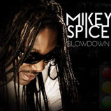 Mikey Spice - Slow Down (Stingray Rec).jpg