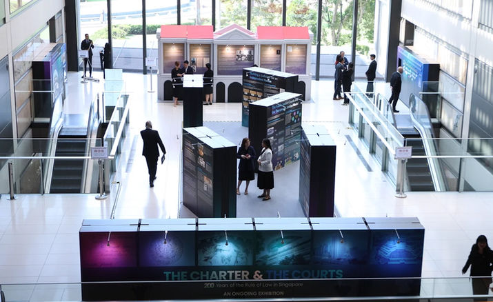 The Charter and the Courts - Exhibition.jpg