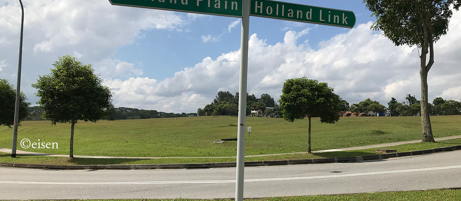 The Old Holland Plain