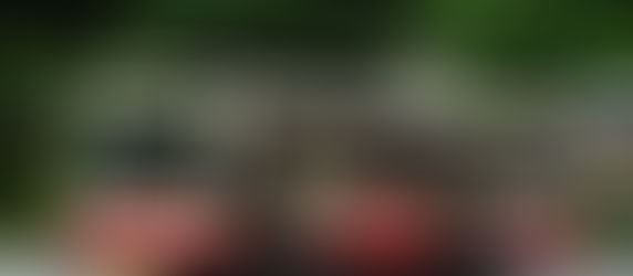 The rationale for rationalisation