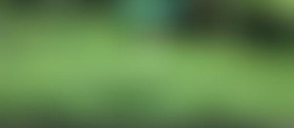 The end of Lim Chu Kang