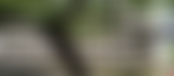 Lost Spaces: 74 Commonwealth Drive