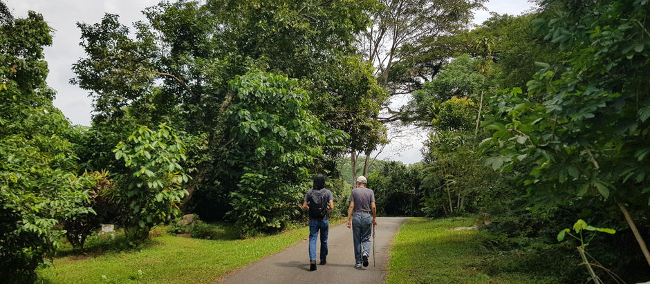 The search for my heritage