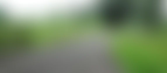 Lost Spaces: Bidadari Park