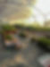 8E8AA07D-7612-4B0C-B112-403EA74ADB37.JPEG