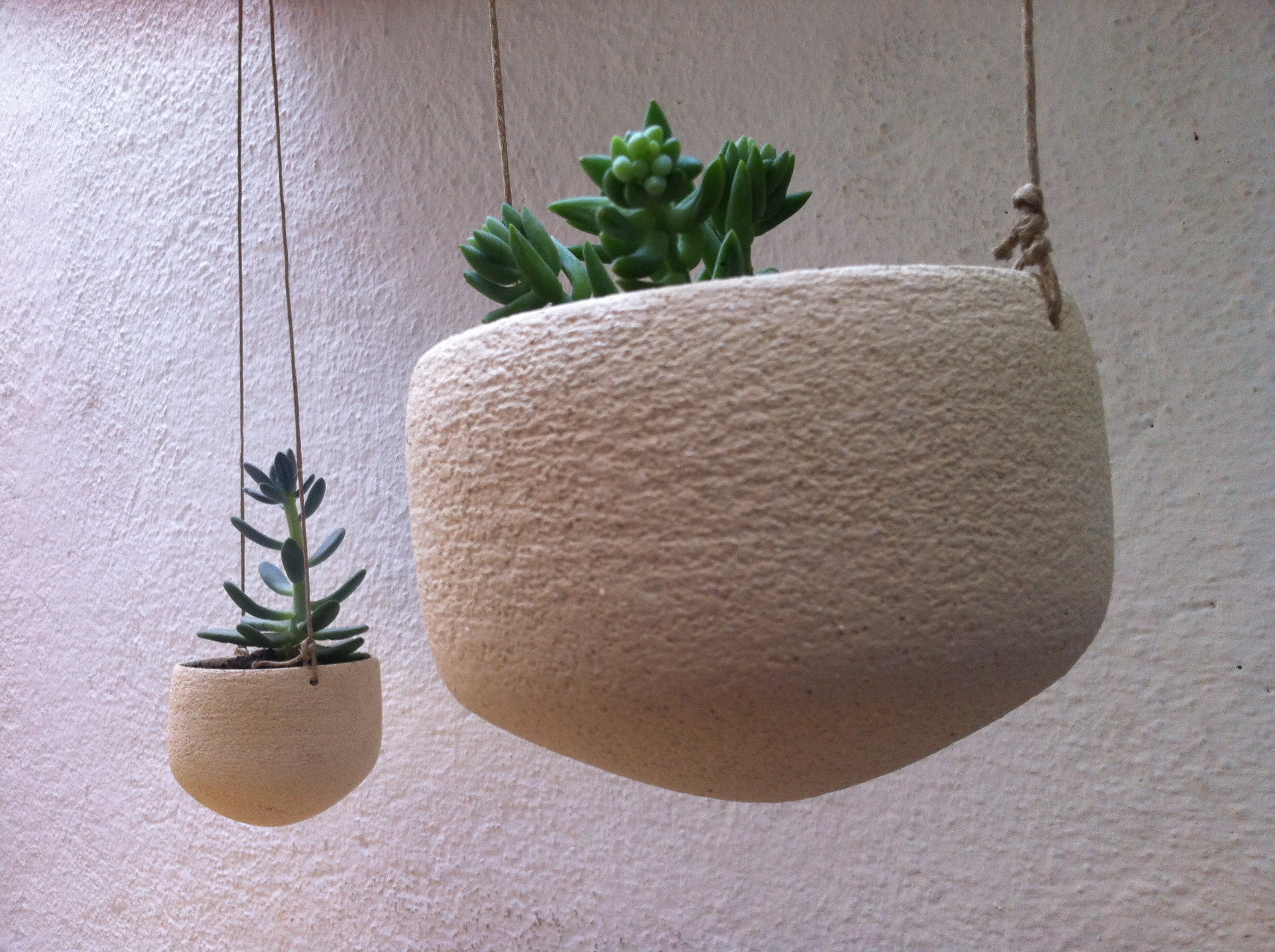 test-voladors-cactus