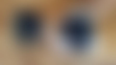 Des Löwen ersten Schuhe