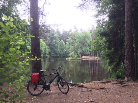 Mein Wald. Mein Haus. Mein Ding.