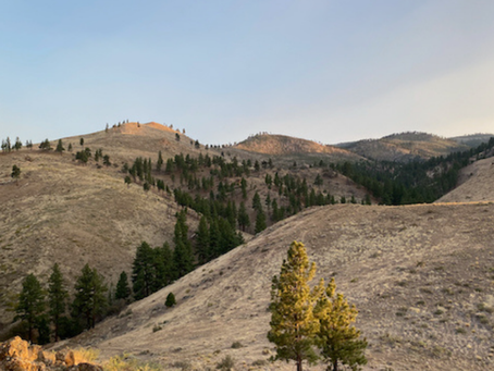 sierra nevada mountain range