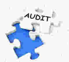 audit.jpeg