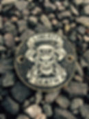 12308584_10205440185743326_3438781518961267377_n