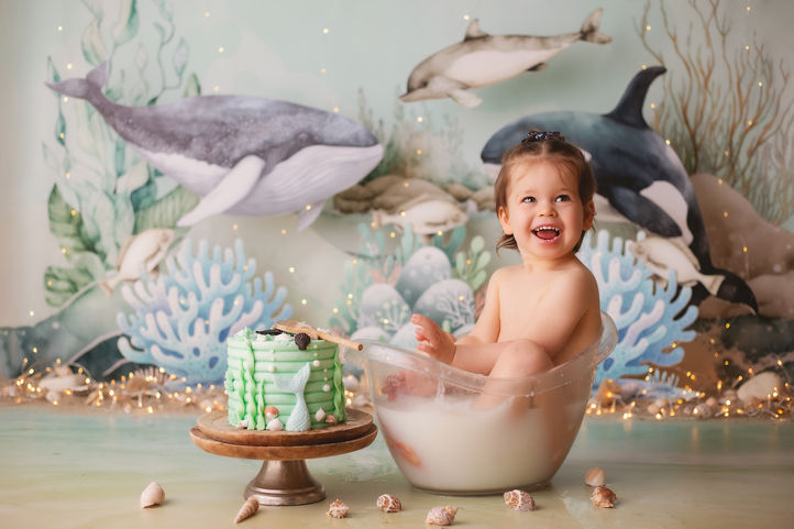 Photographe photographie photoshoot séance photo  grossesse nouveau-né bébé smash the cake sitter famille couple enfant day after bretagne morbihan cotes d'armor finistère ille et vilaine loire atlantique normandie paris rennes brest lannion quimper quimperlé lorient vannes saint-malo guingamp saint nazaire guérande nantes rouen caen le havre france album tableau print tirage coffret mode glamour posing princesse maternité babybump gender reveal accouchement enfance studio extérieur plage forêt golden hour natalité cadeau naissance boho bohème pampa