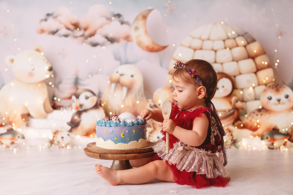 Photographe photographie photoshoot séance photo grossesse nouveau-né bébé smash the cake sitter famille couple enfant day after bretagne morbihan cotes d'armor finistère ille et vilaine loire atlantique normandie paris rennes brest lannion quimper quimperlé lorient vannes saint-malo guingamp saint nazaire guérande nantes rouen caen le havre france album tableau print tirage coffret mode glamour posing princesse maternité babybump gender reveal accouchement enfance studio extérieur plage forêt golden hour natalité cadeau naissance boho bohème pampa