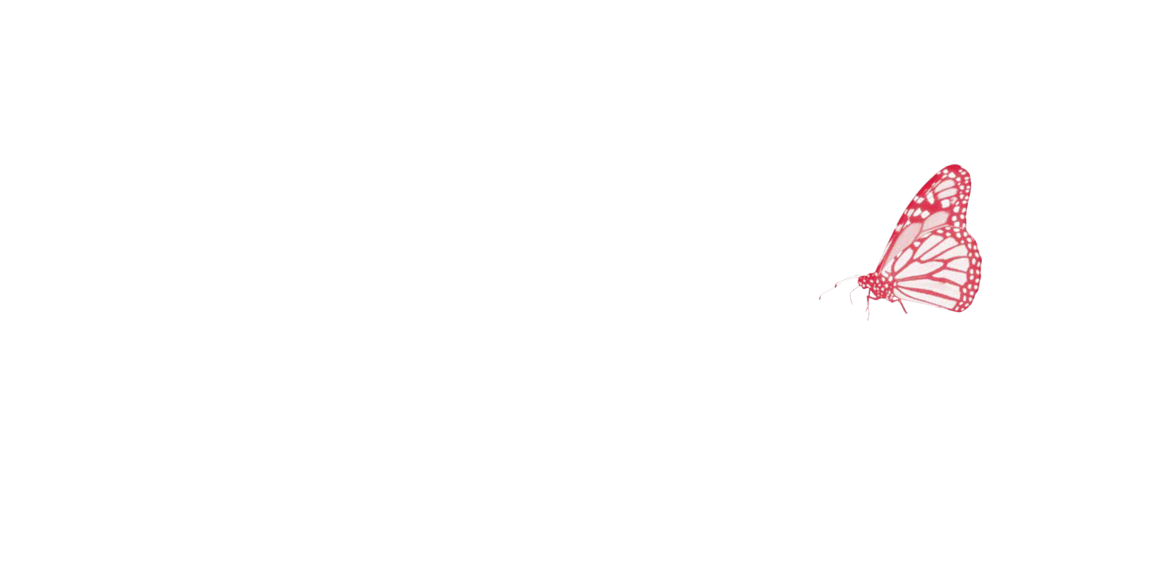 Kitchen & Bathroom Grilles | Papiliovent UK