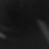 10012854_746338872053847_7693591282304051604_o.jpg