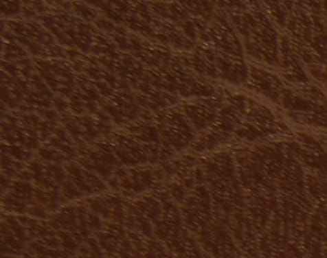 cinnamon-modern