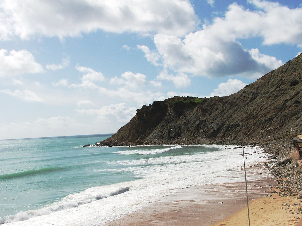 DSCF4571.JPG