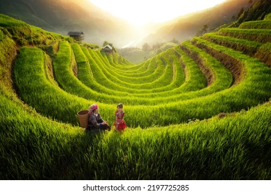 farmer-mu-cang-chai-village-260nw-2197725285.webp