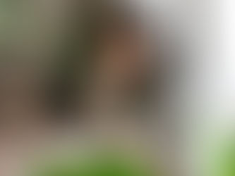 新冠疫情已改變!這些變化你要知!