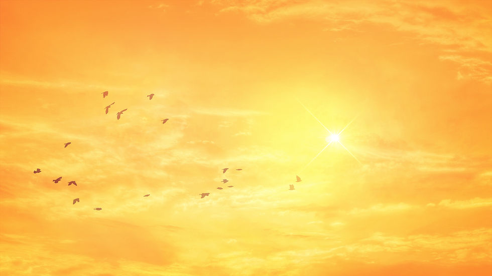Chasing_Summer2016_Background_1920x1080.jpg