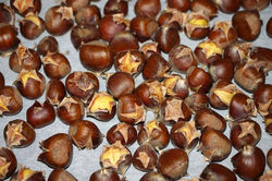 512703217_10052816324836956_8305765567729951624_n