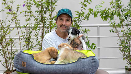 uma pessoa segurando um cachorro e dois cachorros deitados numa cama de cachorro