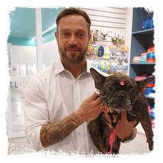 pessoa segurando cachorro no colo